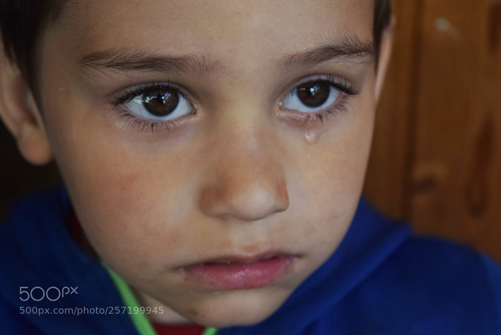 Nikon D3300 sample photo. Untitled photography