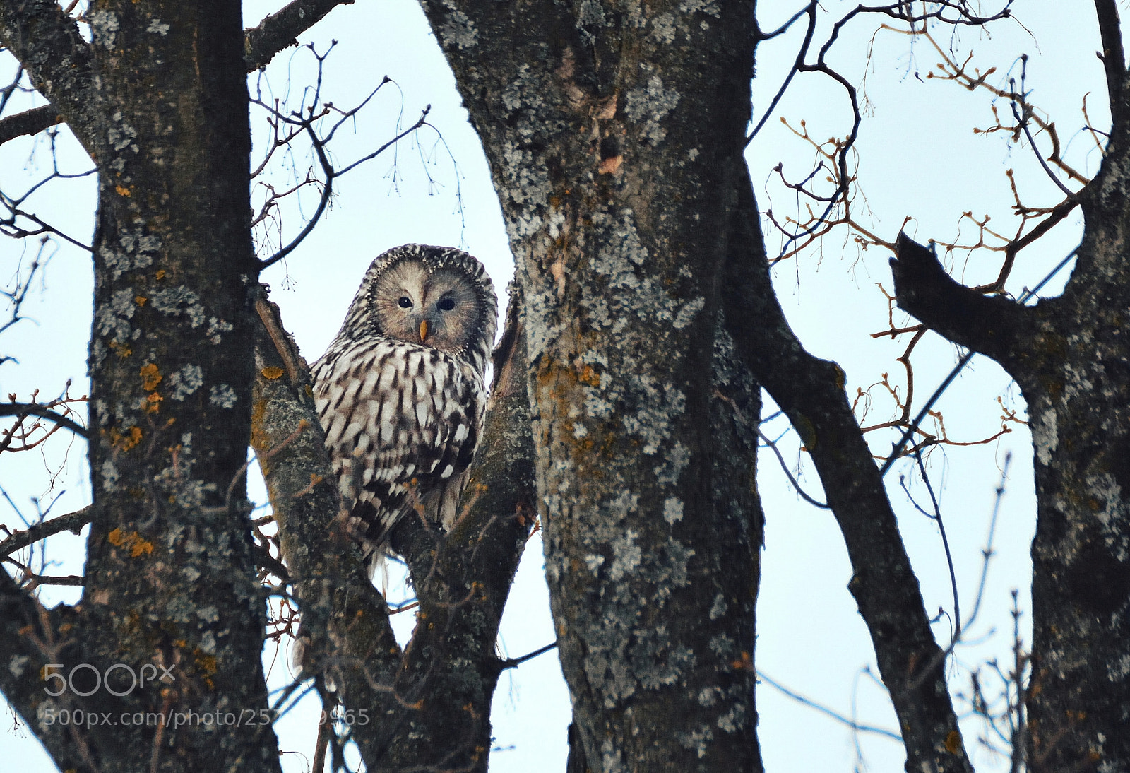 Nikon D3200 sample photo. Untitled photography