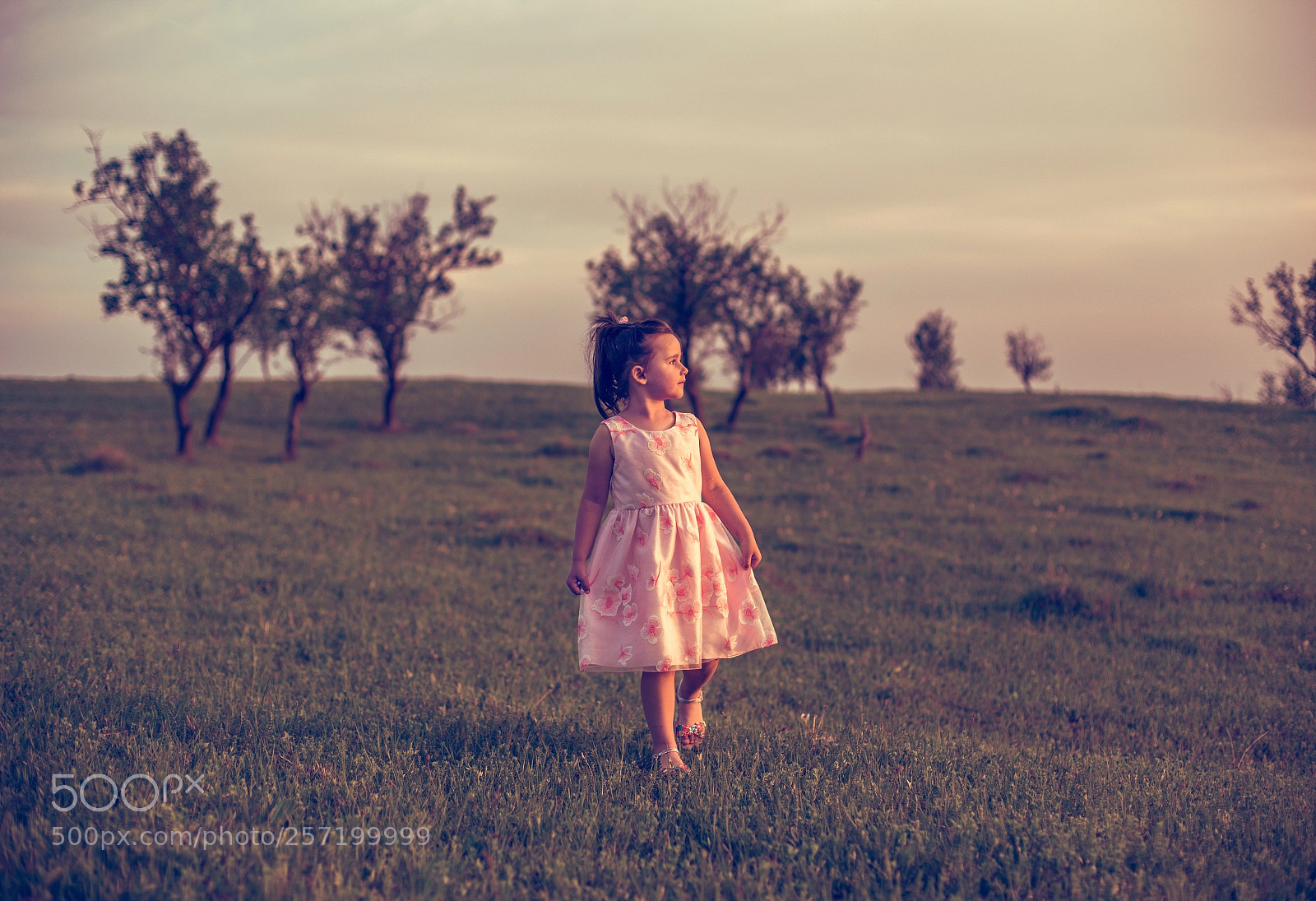 Canon EOS 6D sample photo. Peaceful blanket of light photography