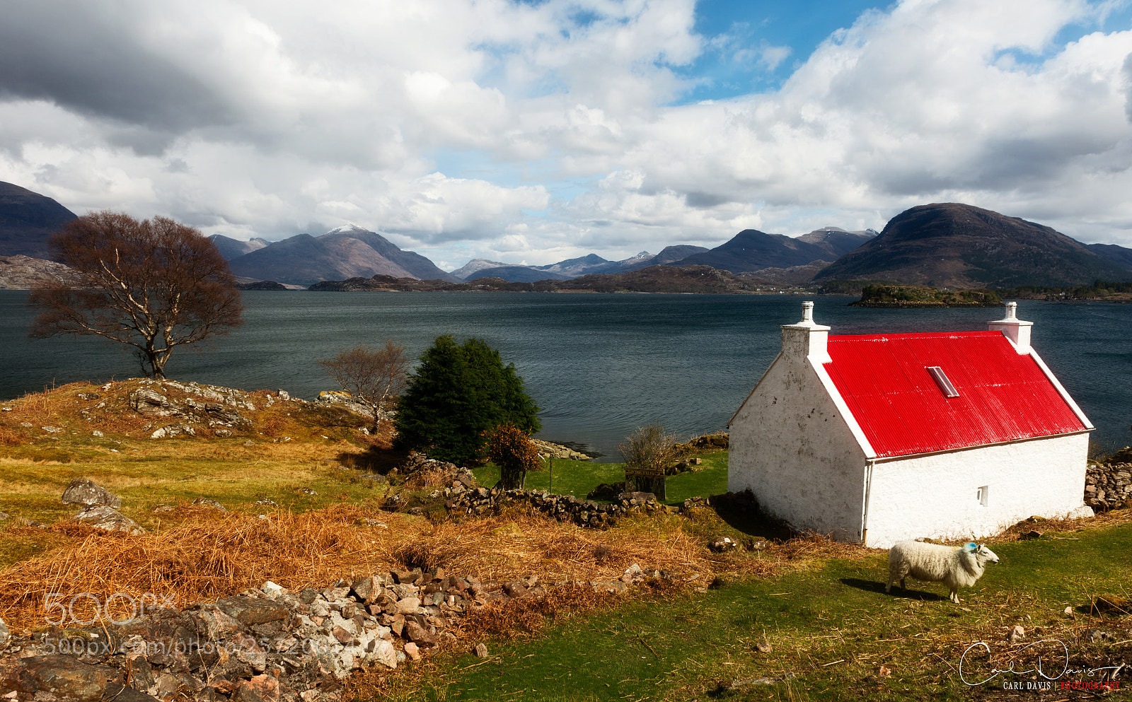 Nikon Df sample photo. Red roof in wester photography