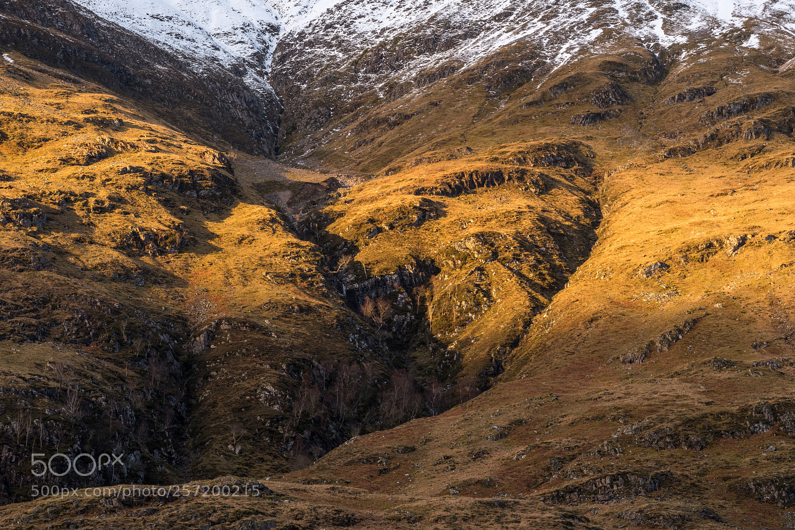 Nikon D810 sample photo. Sgorr nam fiannaidh photography