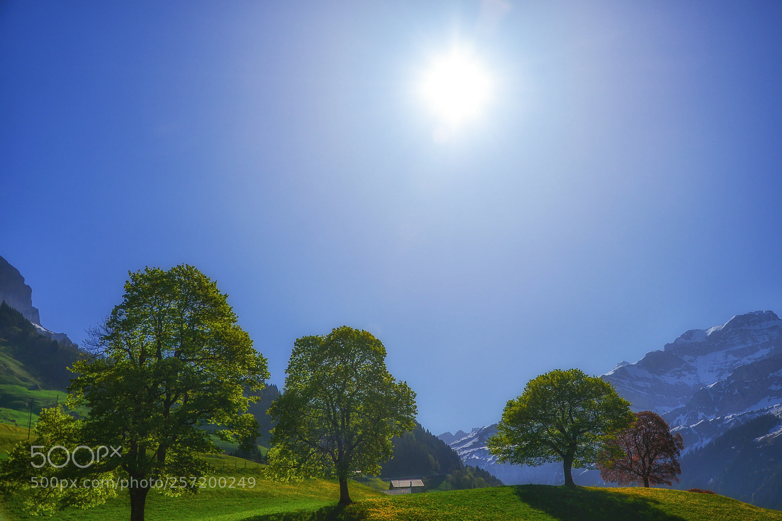 Nikon D610 sample photo. Untitled photography