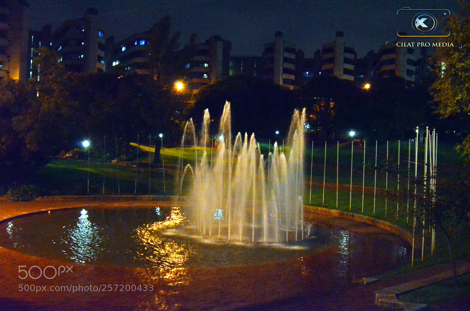 Nikon D5100 sample photo. University of johannesburg photography