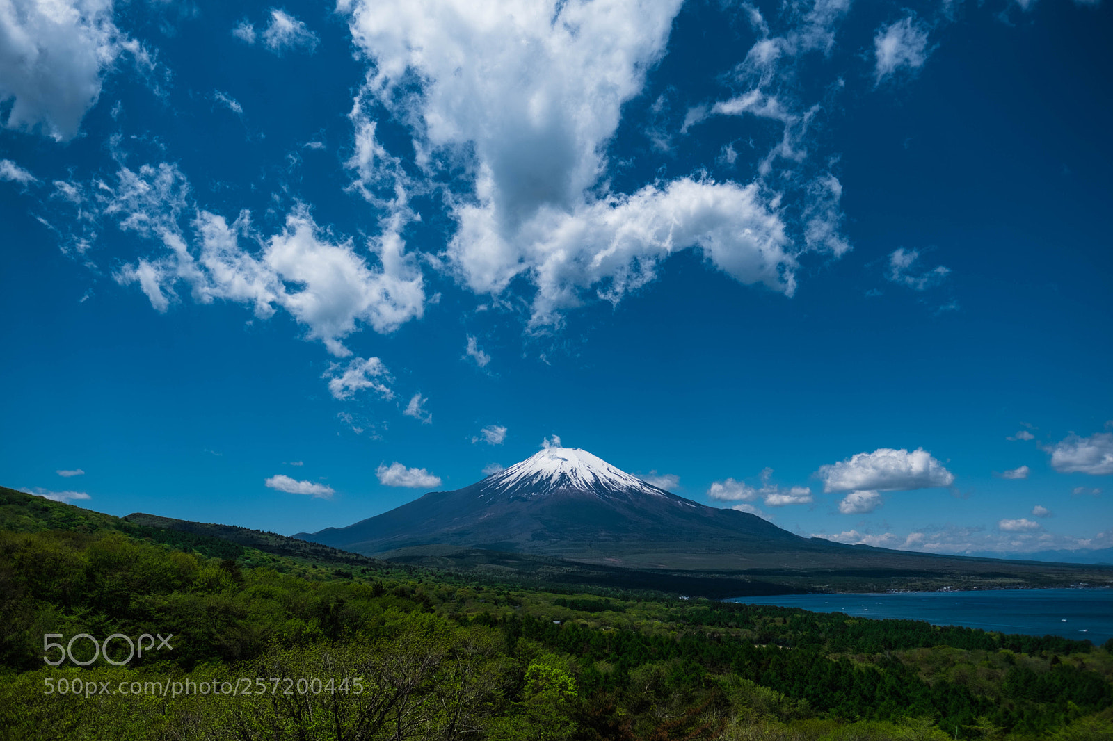 Fujifilm X-T2 sample photo. Blue sky and mt.fuji photography