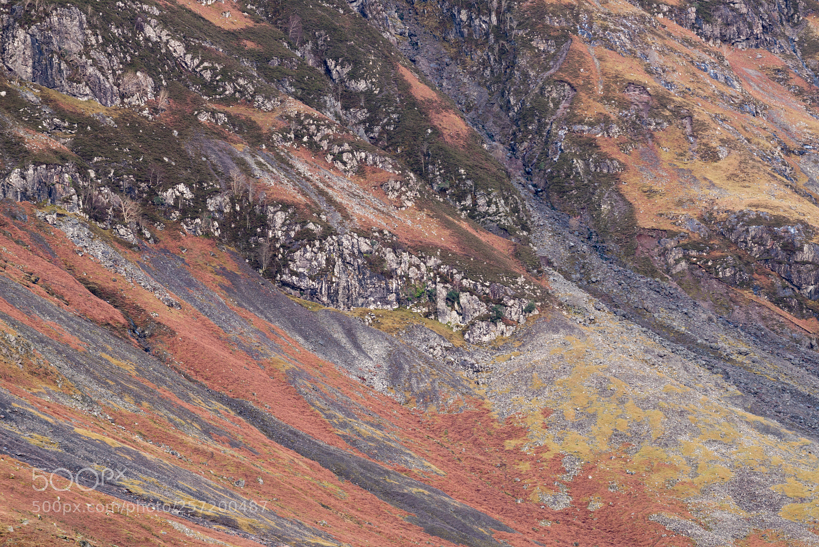 Nikon D810 sample photo. Slopes of aonach eagach #2 photography