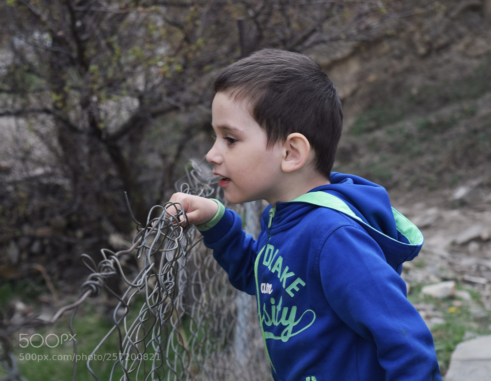Nikon D3300 sample photo. Untitled photography