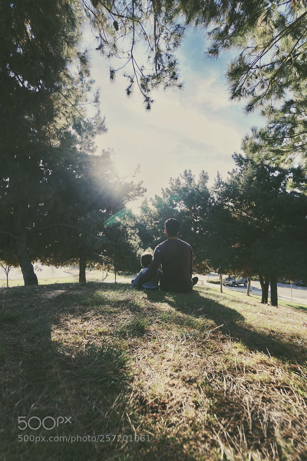 Sony a6300 sample photo. Always by your side. photography