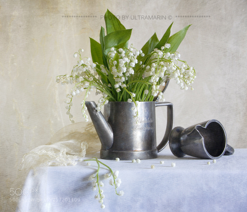 Canon EOS 40D sample photo. Lily of the valley photography
