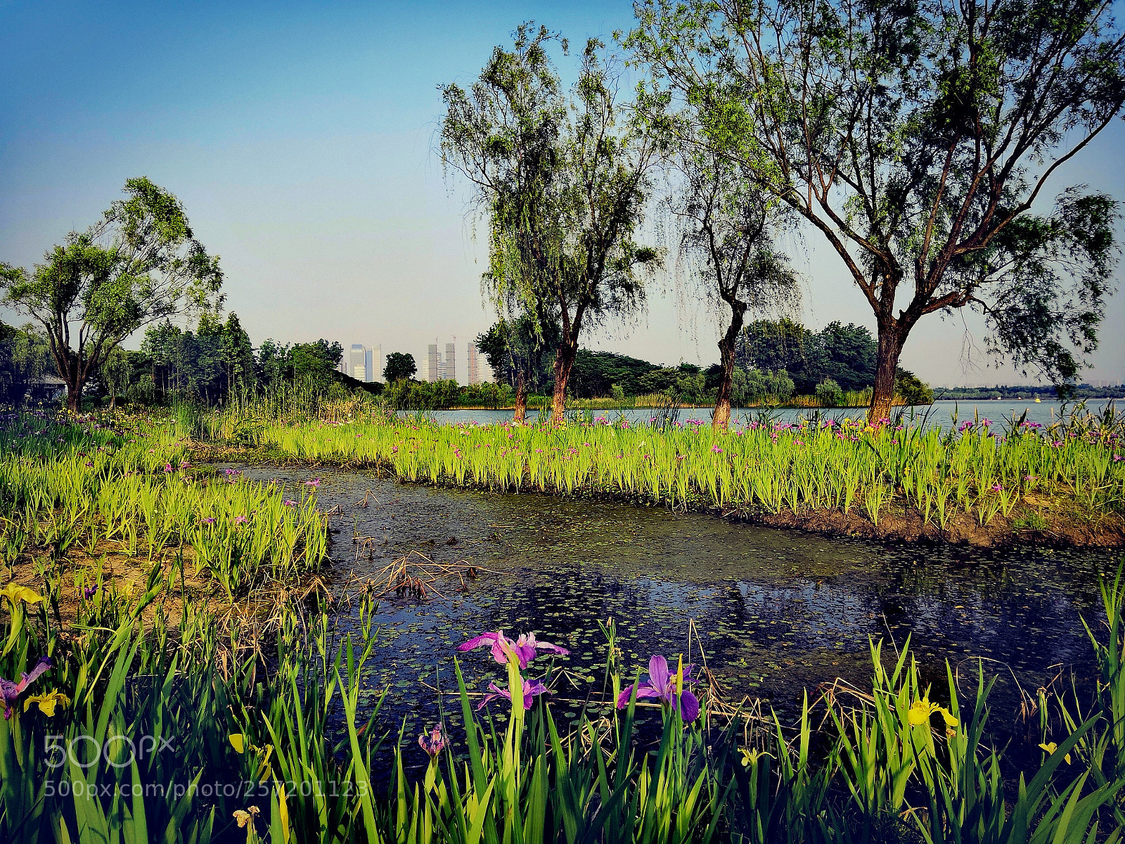 HUAWEI Honor 10 sample photo. Lakeside, 2 photography