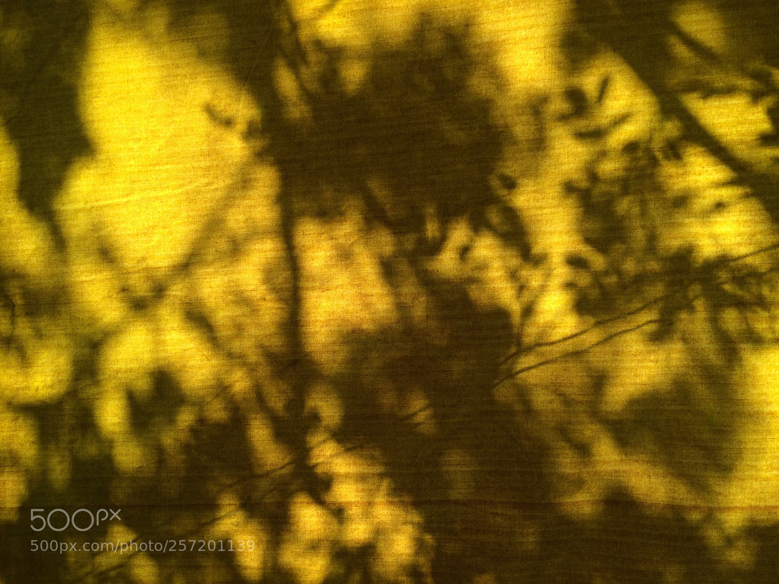 Apple iPhone 5s sample photo. Shadows 6 photography