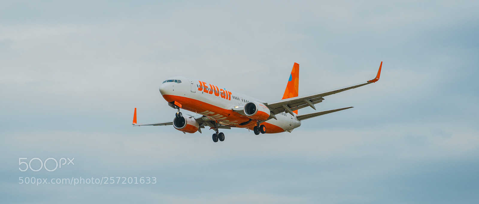 Sony a7 II sample photo. Jejuair photography