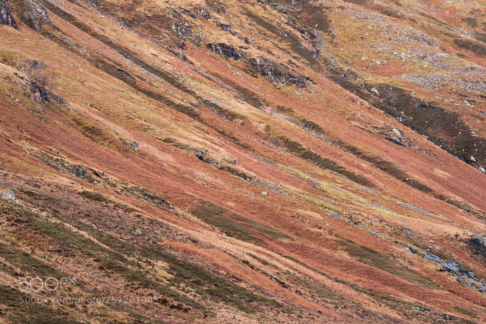 Nikon D810 sample photo. Slopes of aonach eagach #3 photography