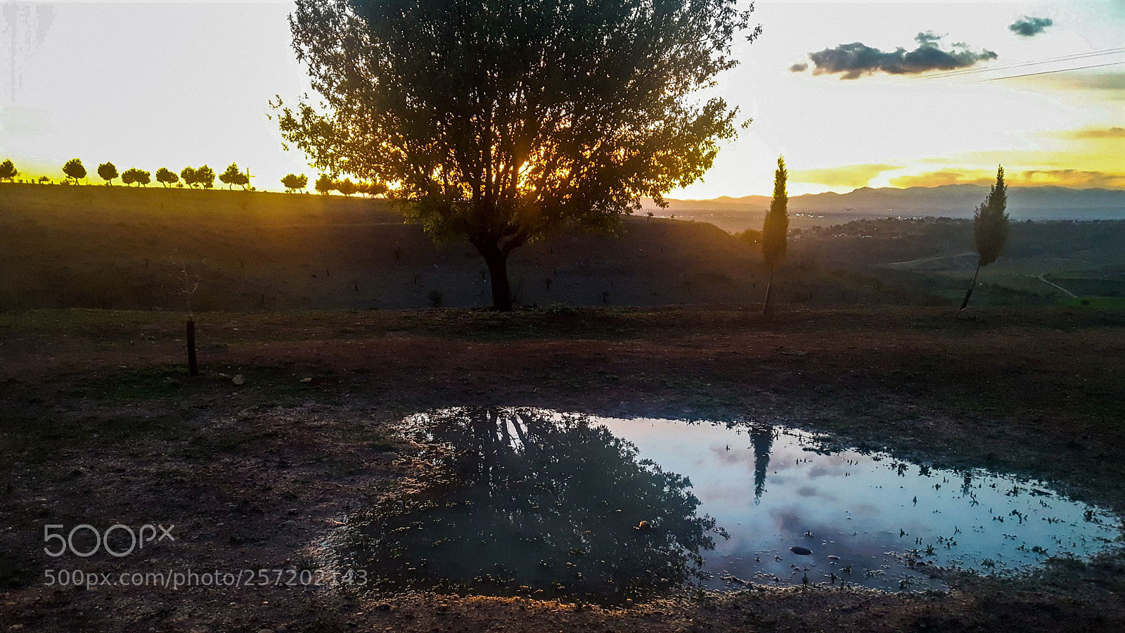 Samsung GALAXY S6 edge sample photo. Reflejos photography