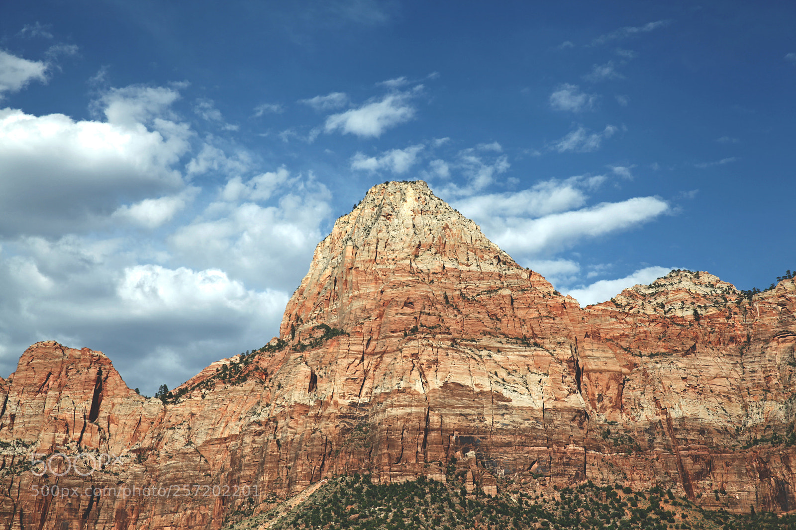 Canon EOS 5D Mark II sample photo. Zion photography