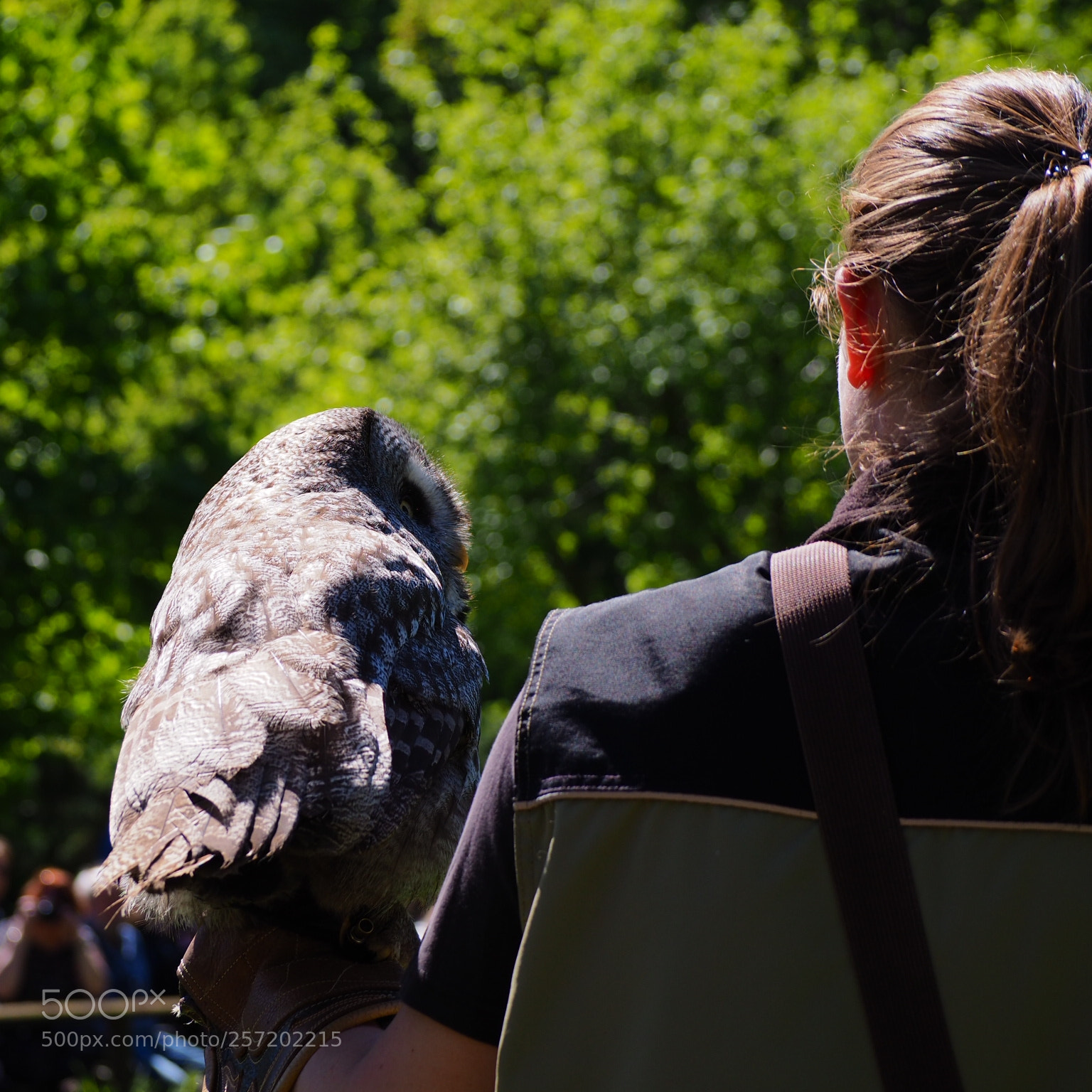 Olympus OM-D E-M10 II sample photo. Are you sure? photography