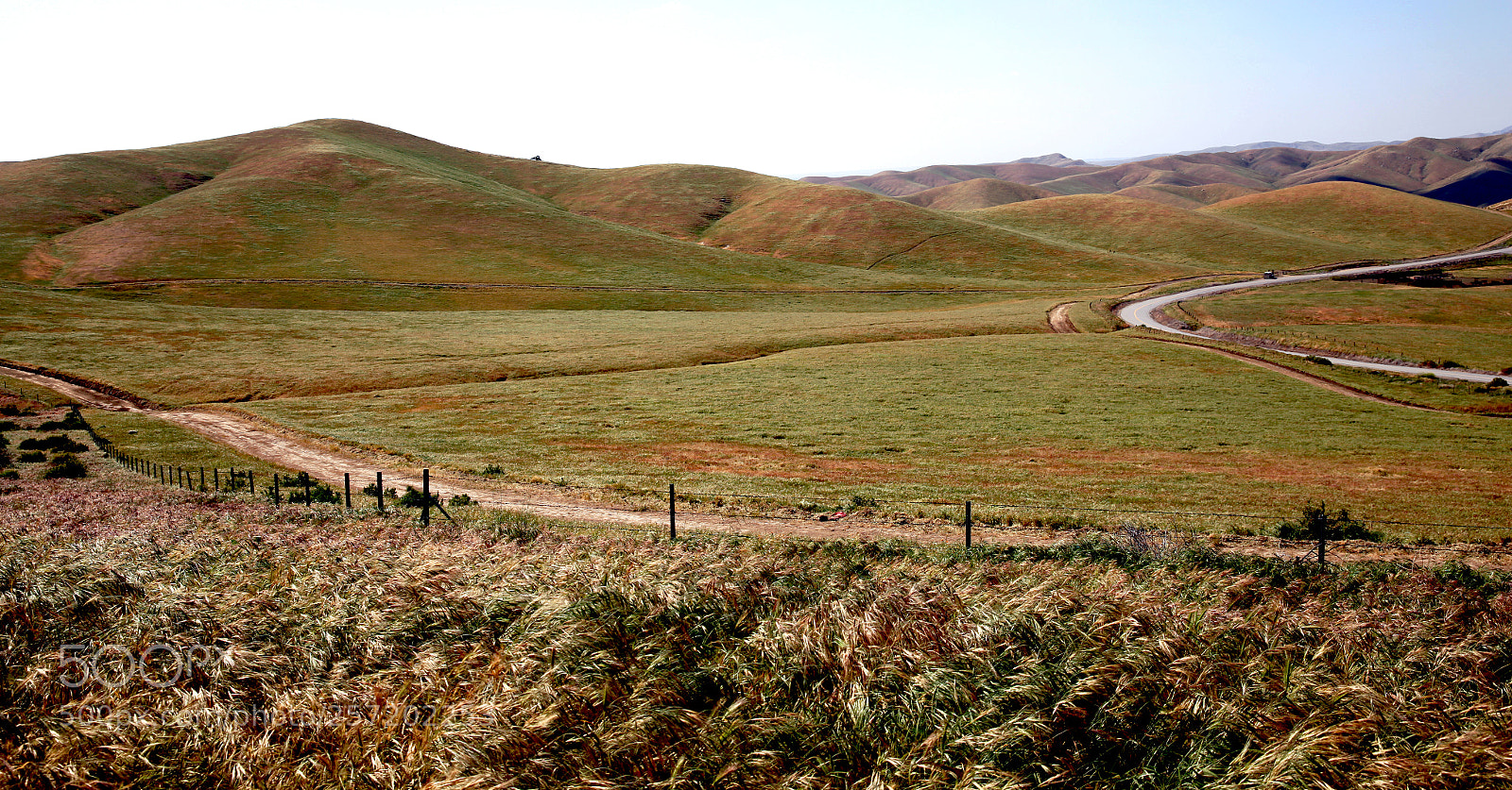 Canon EOS 5D Mark II sample photo. California photography
