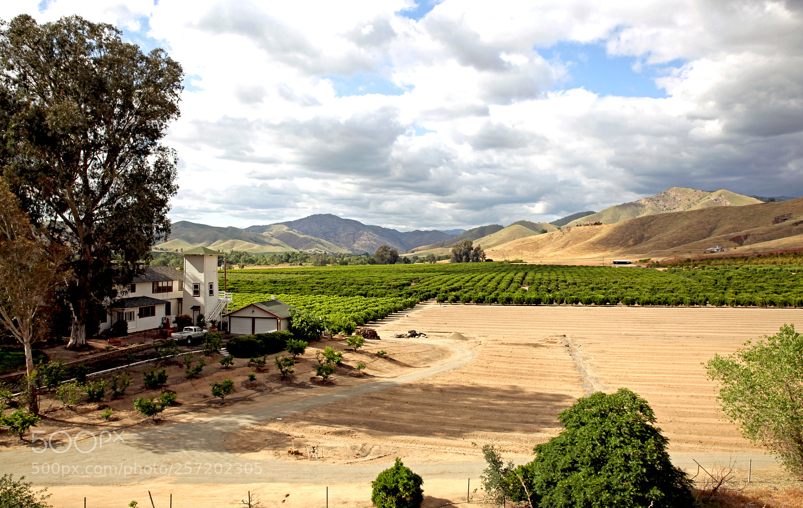 Canon EOS 5D Mark II sample photo. California photography