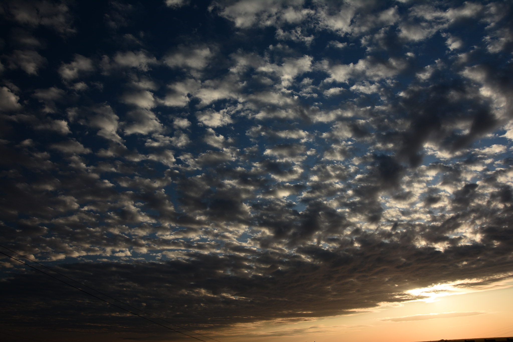 Nikon D7100 sample photo