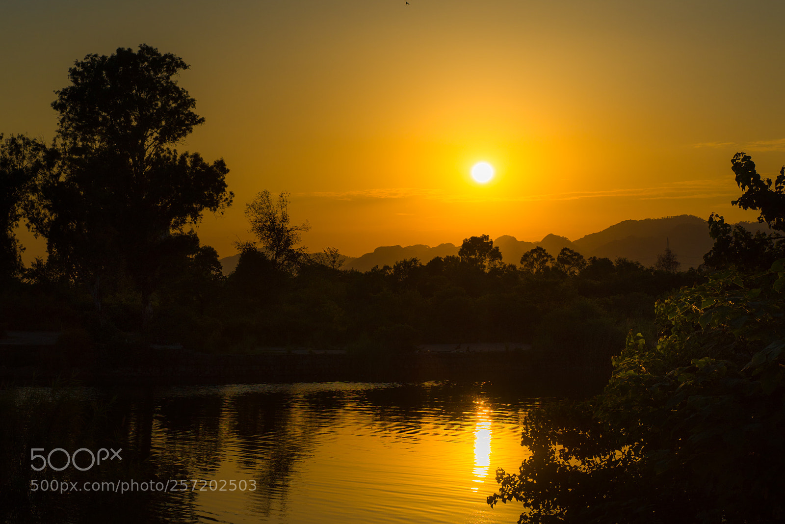 Nikon D750 sample photo. Rawal lake- islamabad photography