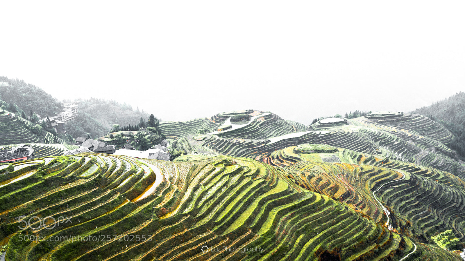 Nikon D810 sample photo. Farming season photography