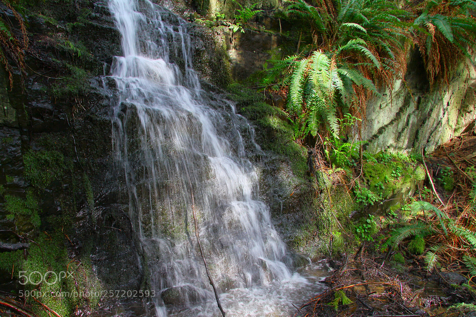 Canon EOS 50D sample photo. Waterfall photography
