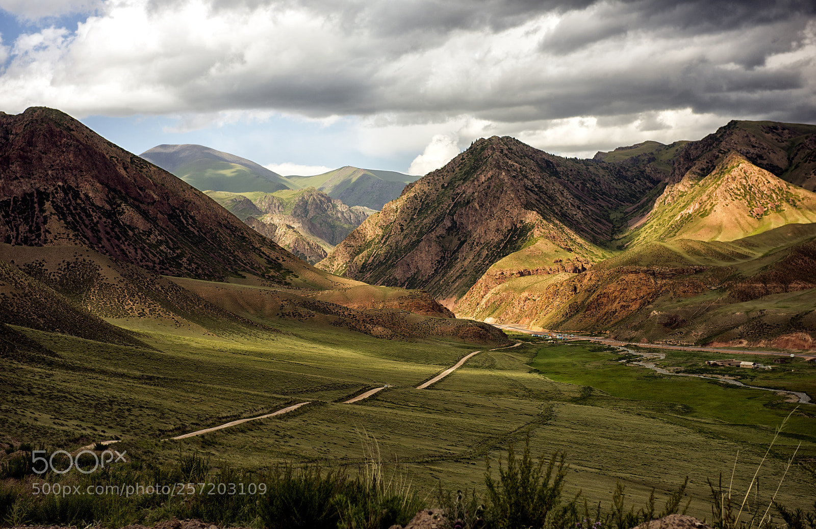 Nikon D810 sample photo. Path in the valley photography