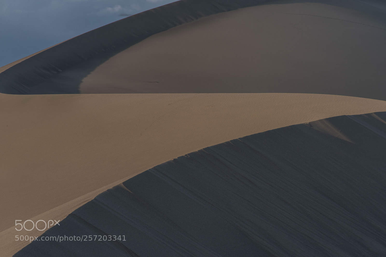 Nikon D810 sample photo. Sand dunes photography