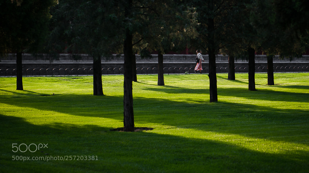 Nikon D800 sample photo. Untitled photography