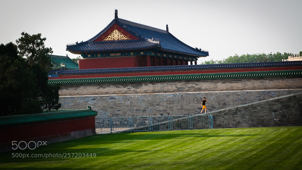 Nikon D800 sample photo. Untitled photography
