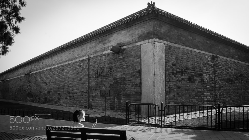 Nikon D800 sample photo. Untitled photography