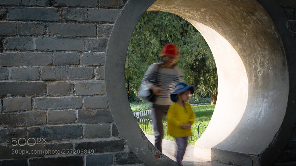 Nikon D800 sample photo. Untitled photography
