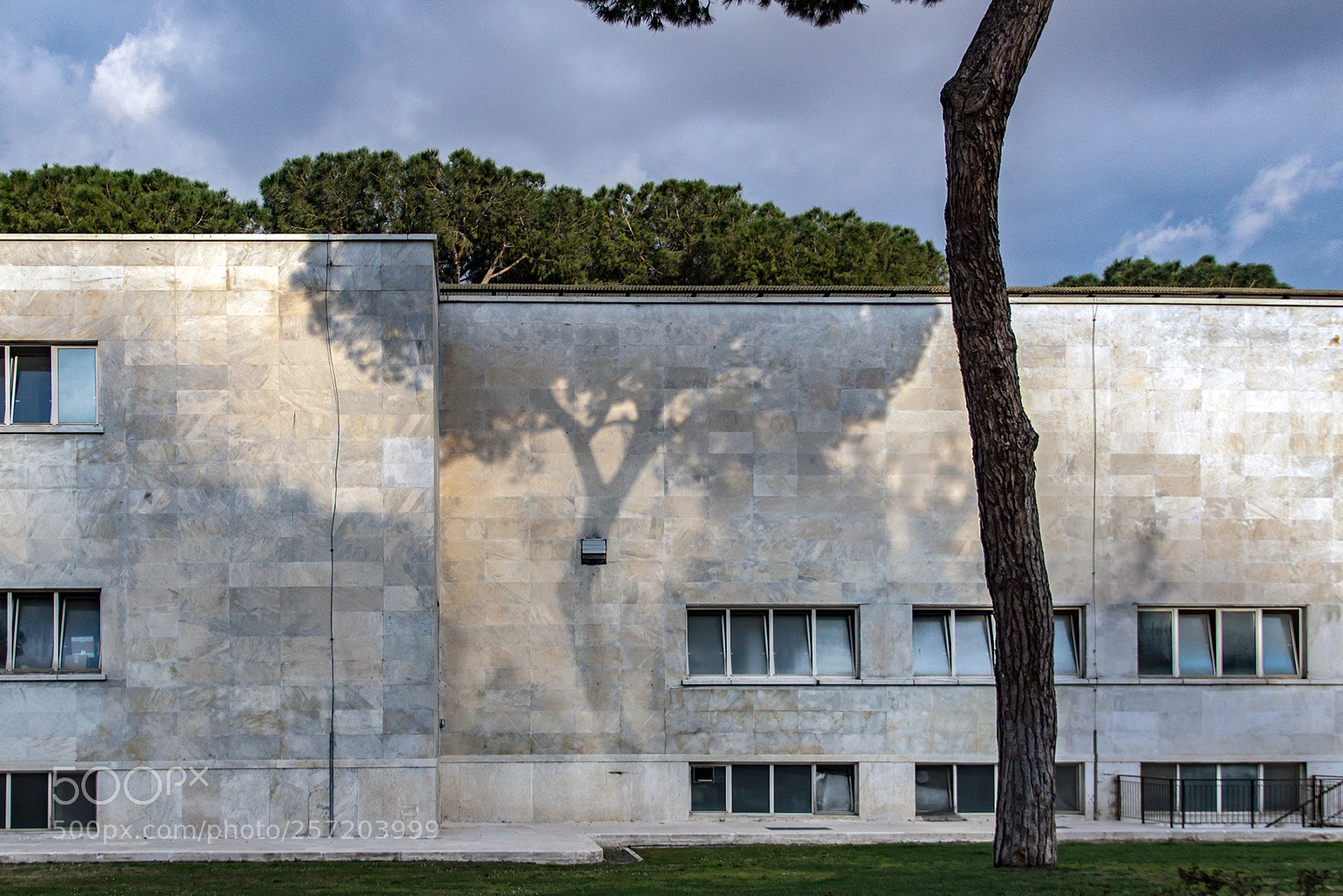 Canon EOS 600D (Rebel EOS T3i / EOS Kiss X5) sample photo. Mediterranean pine tree shadow photography