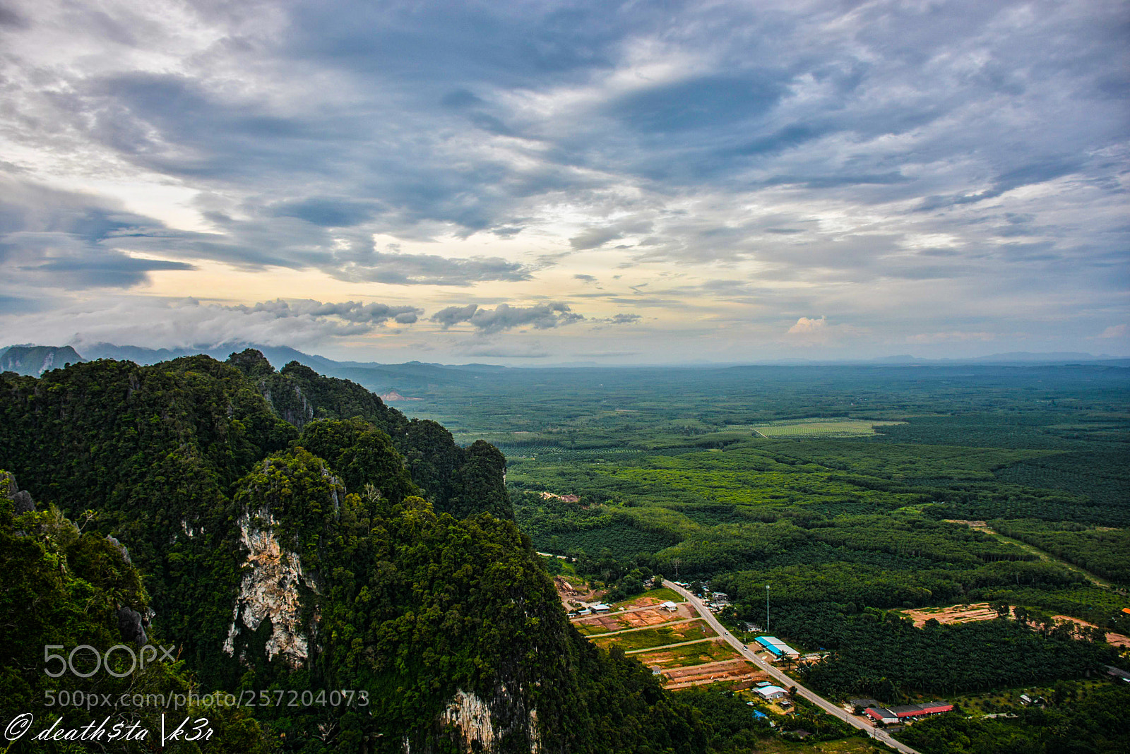 Nikon D7100 sample photo. On top of tiger photography
