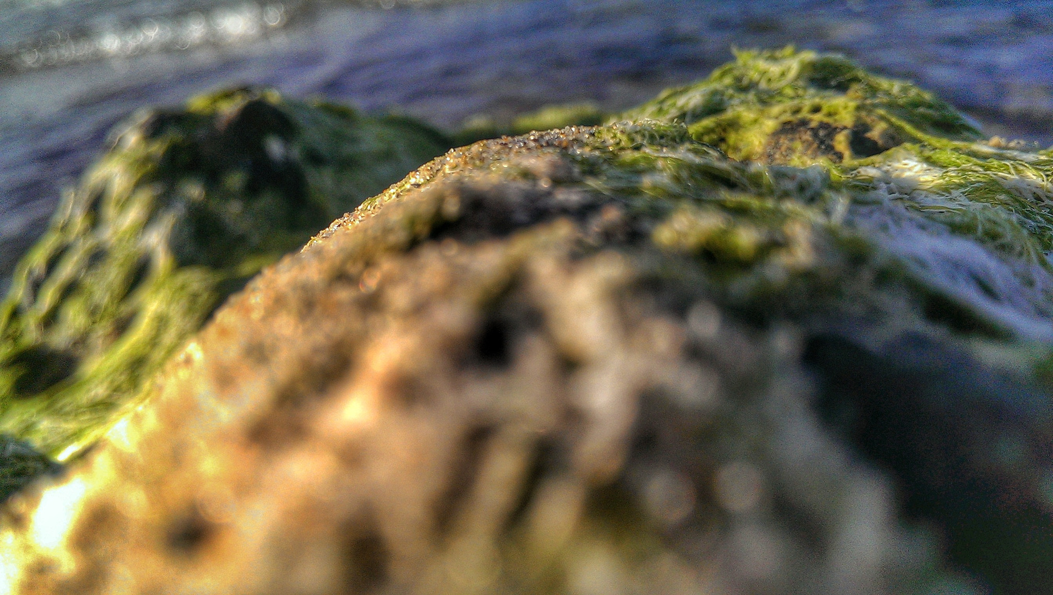 HTC ONE sample photo