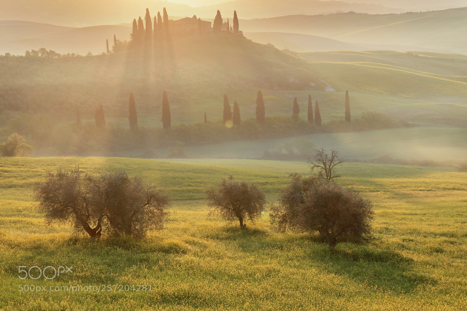 Canon EF-S 18-135mm F3.5-5.6 IS sample photo. San quirico di orcia photography