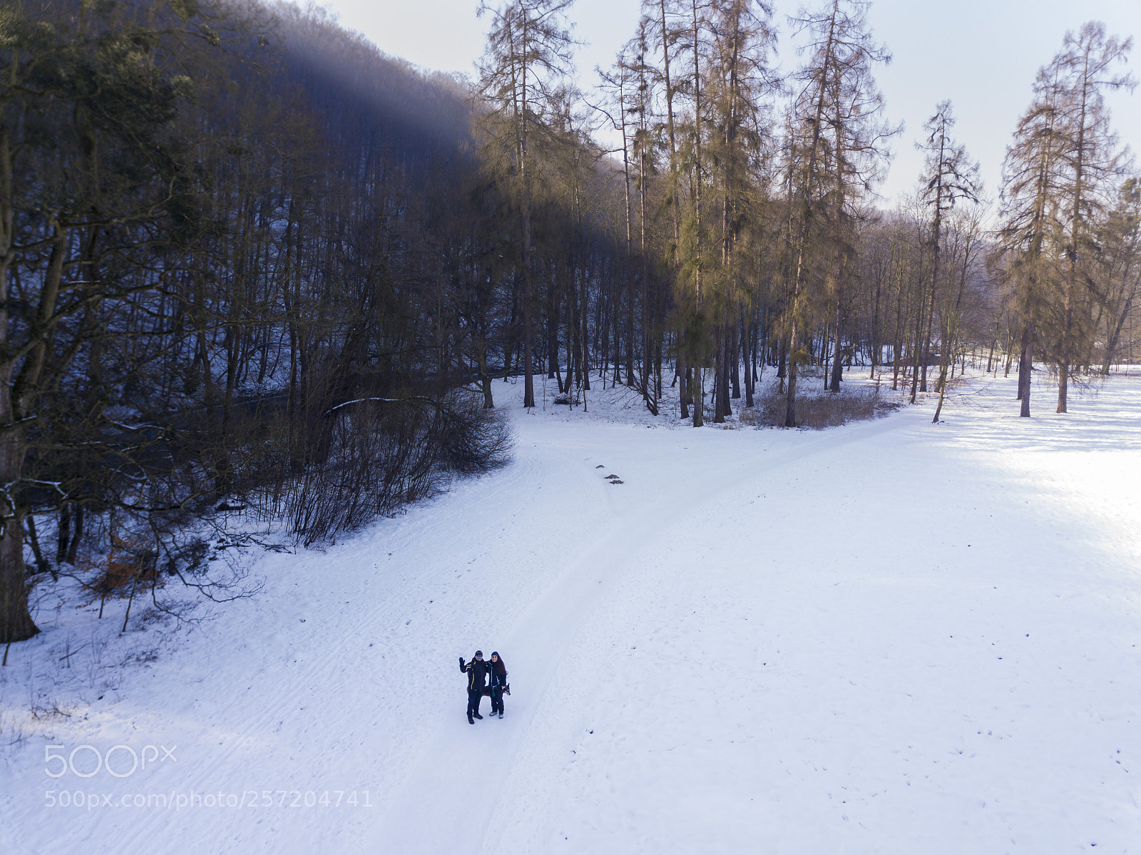 DJI FC220 sample photo. Winter landscape from the photography