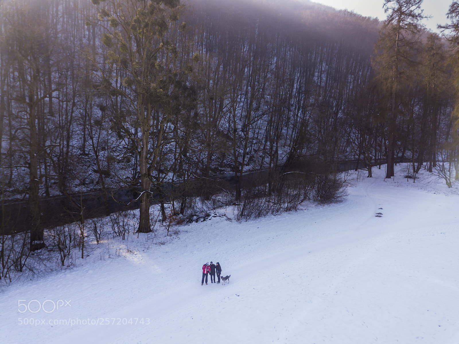 DJI FC220 sample photo. Winter landscape from the photography