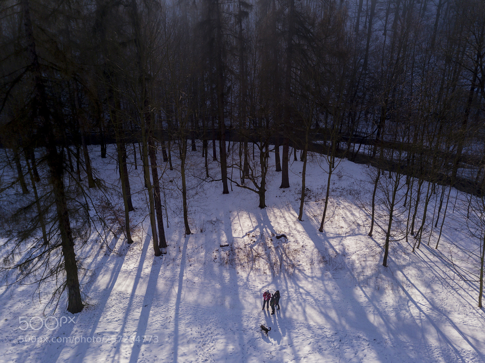 DJI FC220 sample photo. Winter landscape from the photography