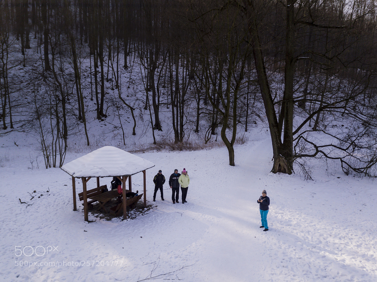 DJI FC220 sample photo. Winter landscape from the photography