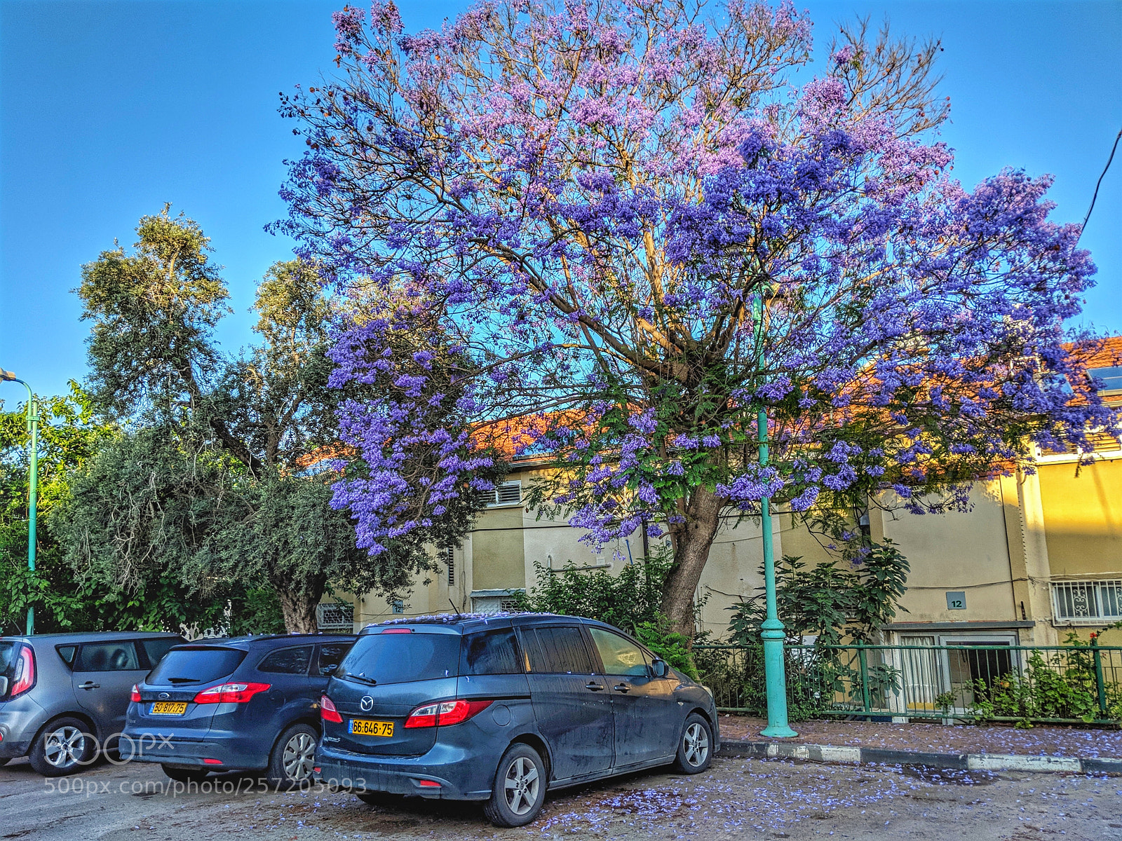 Google Pixel 2 XL sample photo. Img_20180509_065452-01.jpeg photography