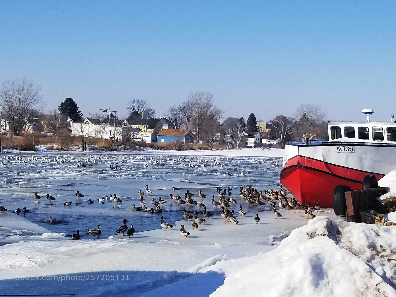 Samsung Galaxy S8 sample photo. Avis j photography
