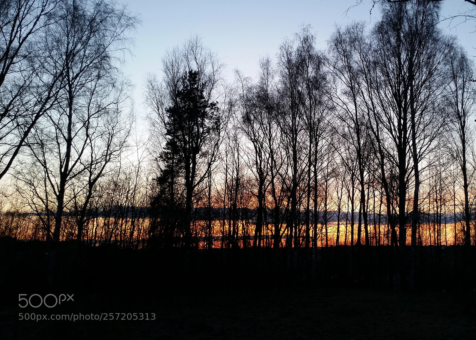 Samsung Galaxy S5 sample photo. Walking in the evening photography