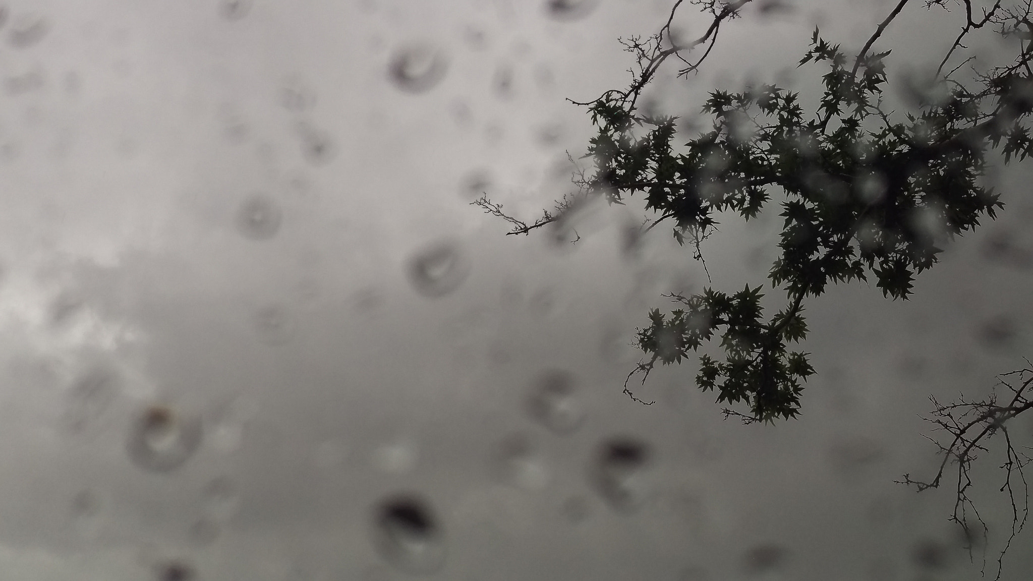 HTC ONE M9 sample photo. Beyond rain drops photography