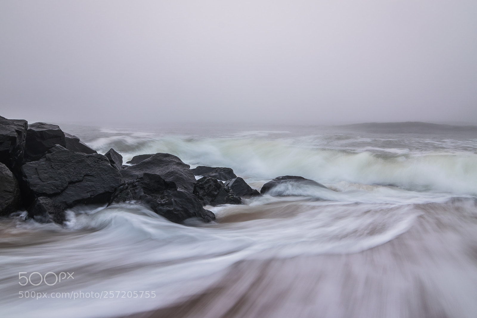 Nikon D5500 sample photo. Long branch foggy sunrise photography