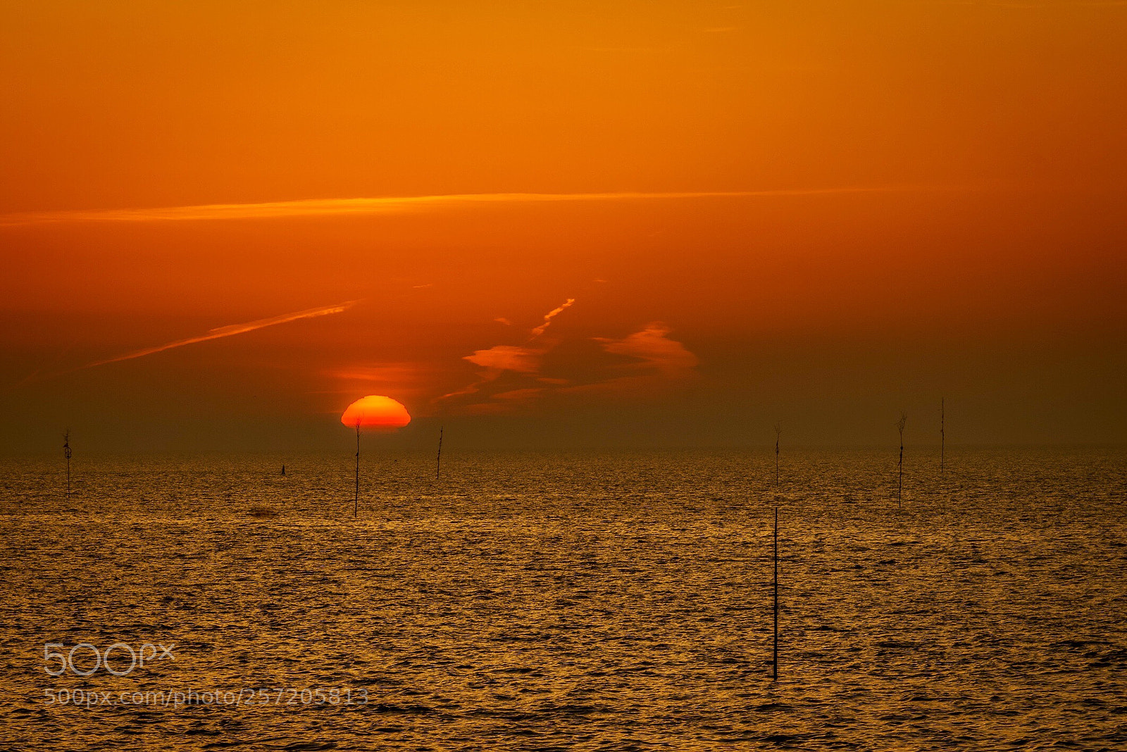 Sony a7R sample photo. Texel sunrise photography