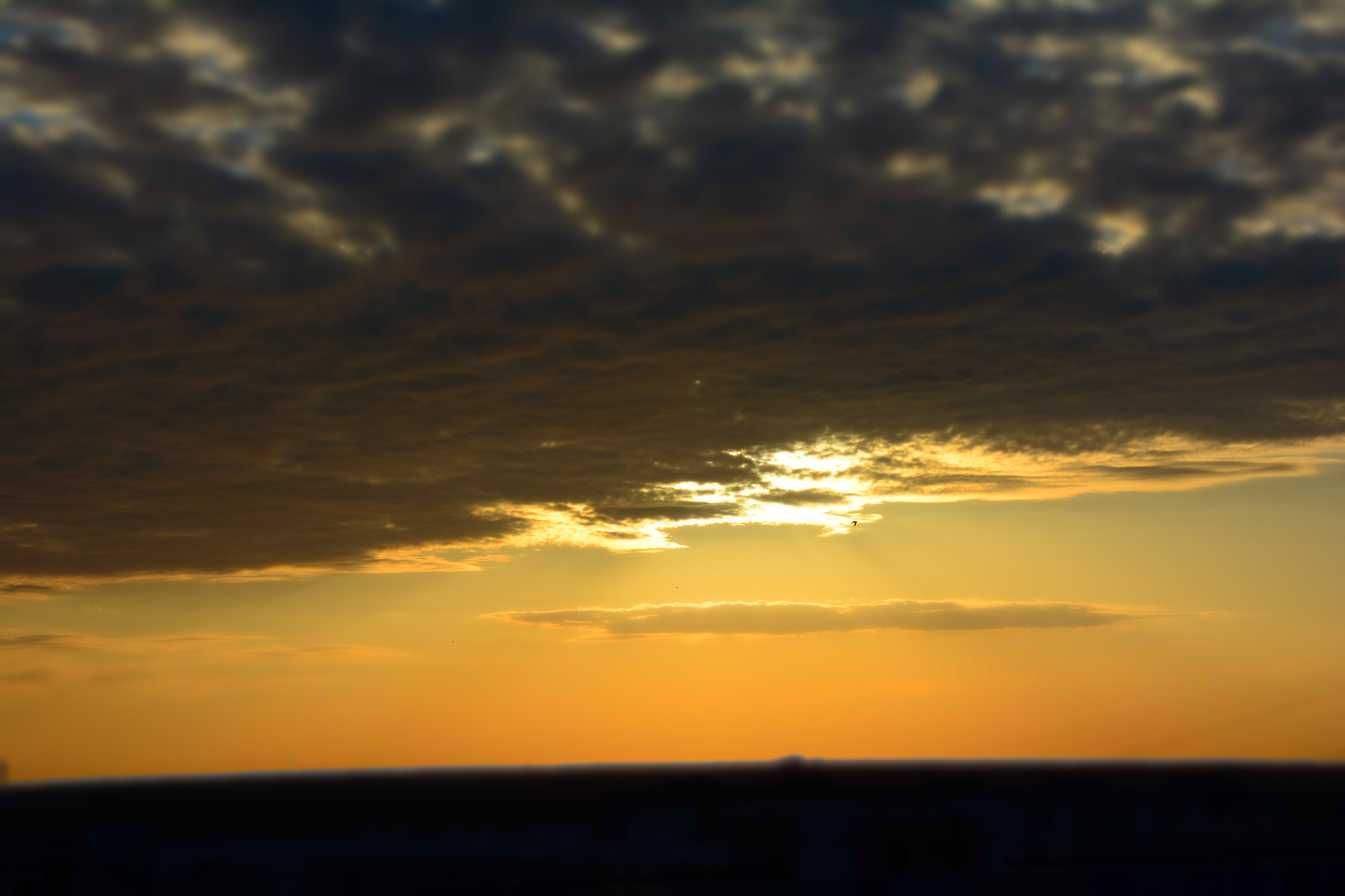 Nikon D7100 sample photo