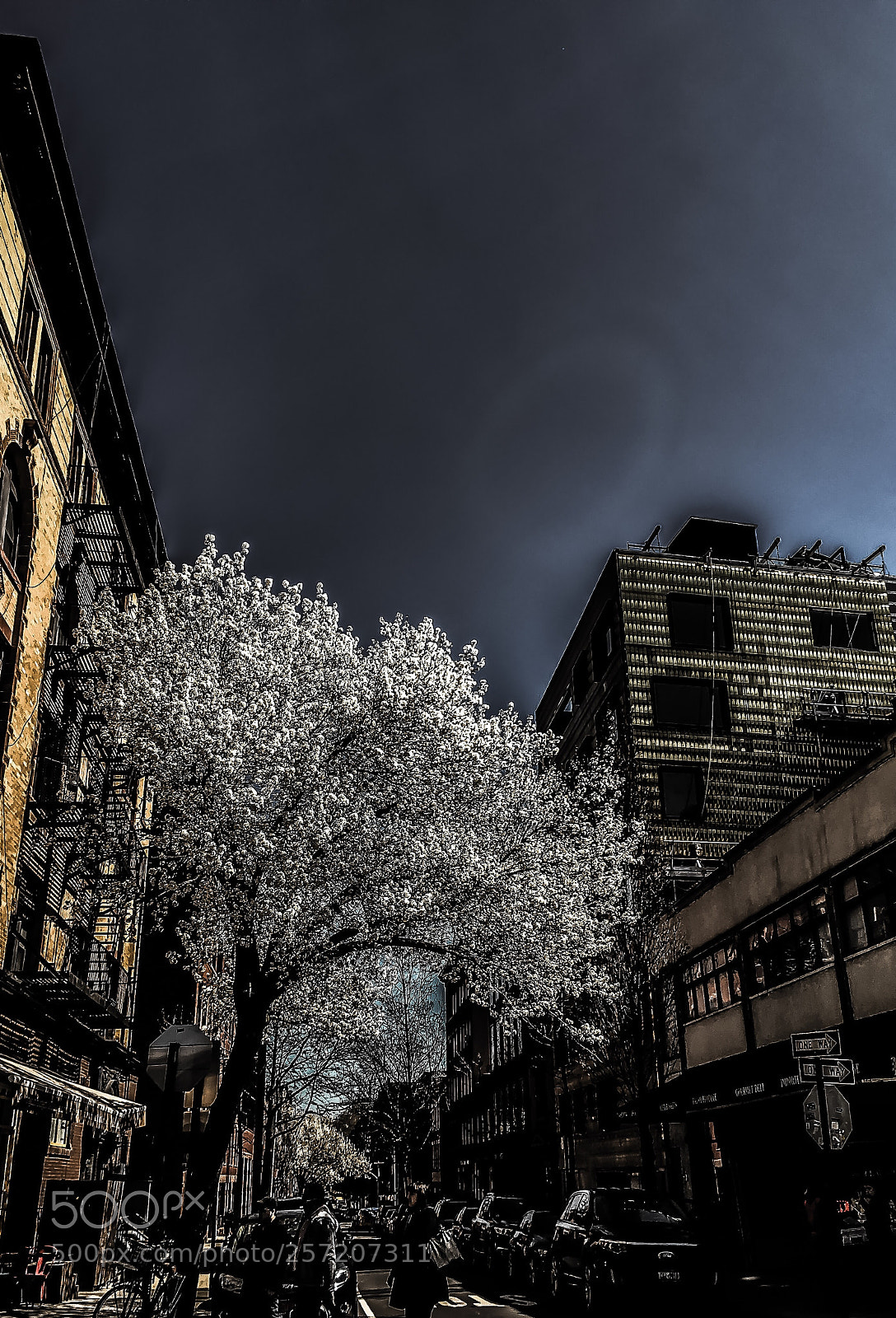 Apple iPhone 6s sample photo. Spring  photography