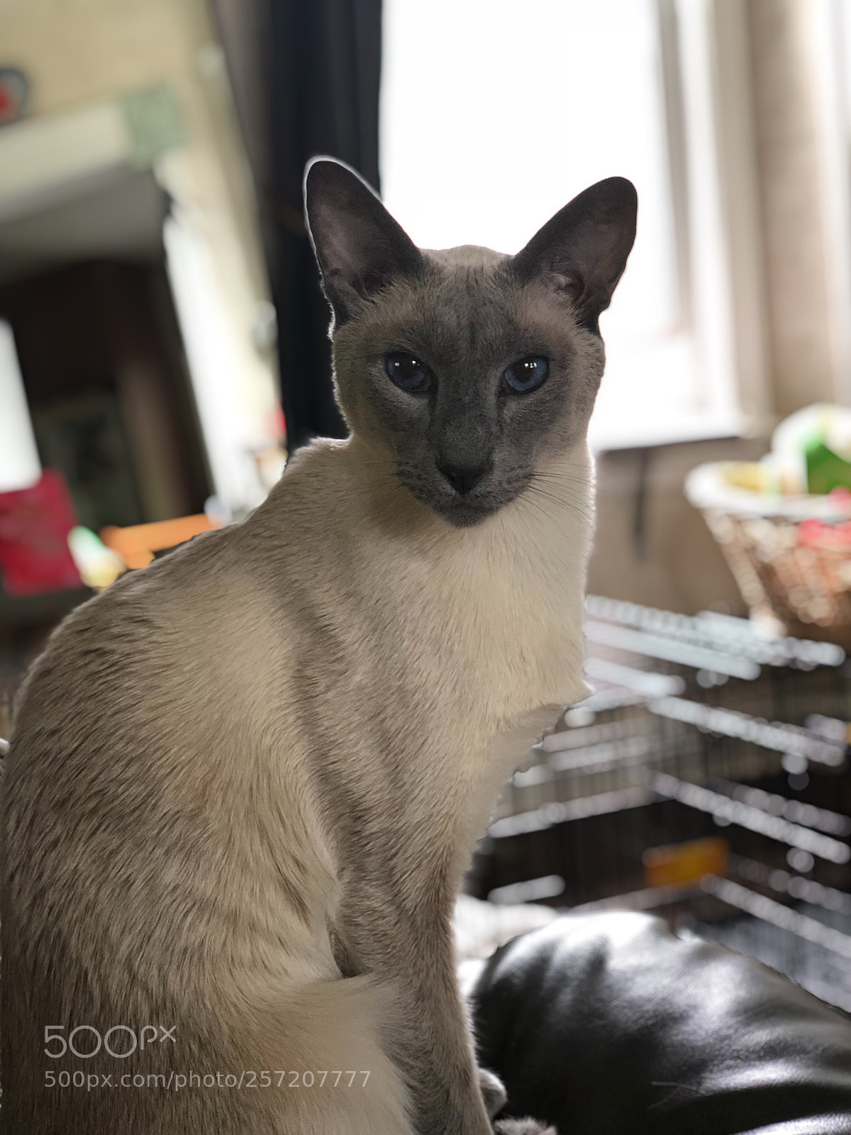 Apple iPhone X sample photo. Carter ‘18 photography