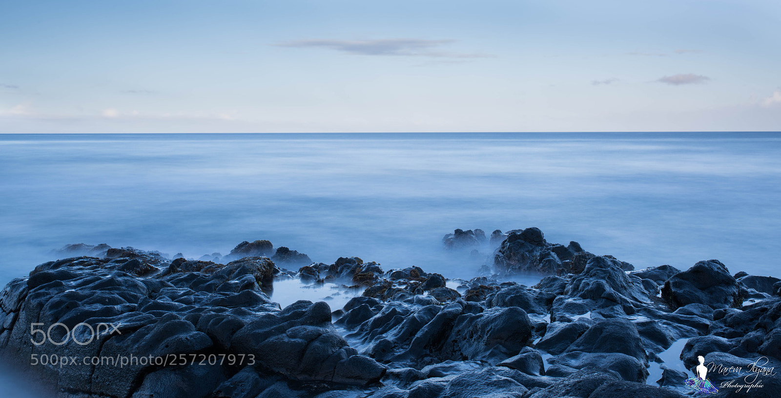Nikon D810 sample photo. Untitled photography