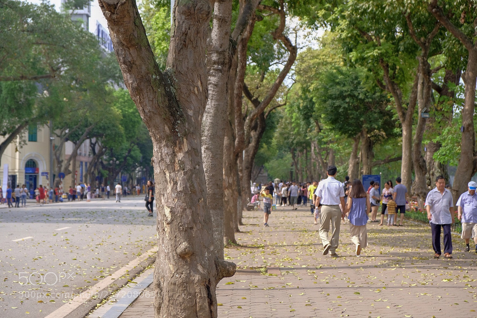 Fujifilm X-T20 sample photo. Walking photography